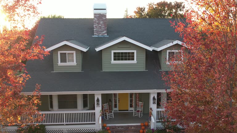 Best Skylight Installation and Repair  in Nolanville, TX