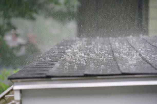 Best Cold Roofs  in Nolanville, TX