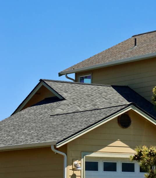 Best Roof Insulation Installation  in Nolanville, TX